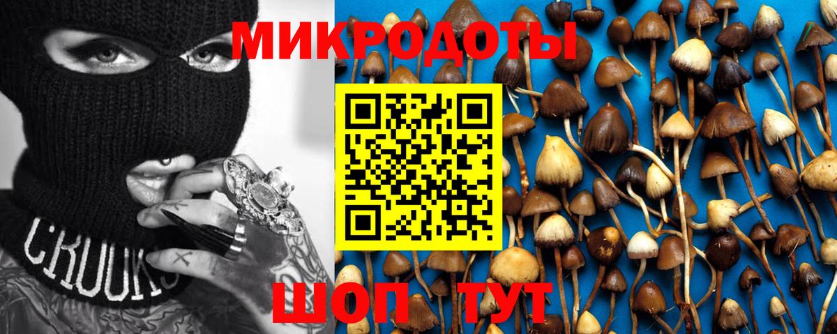купить наркоту  Галлюциногенные грибы мухоморы  Псилоцибиновые грибы MAGIC MUSHROOMS  Вход с VPN  Воркута 